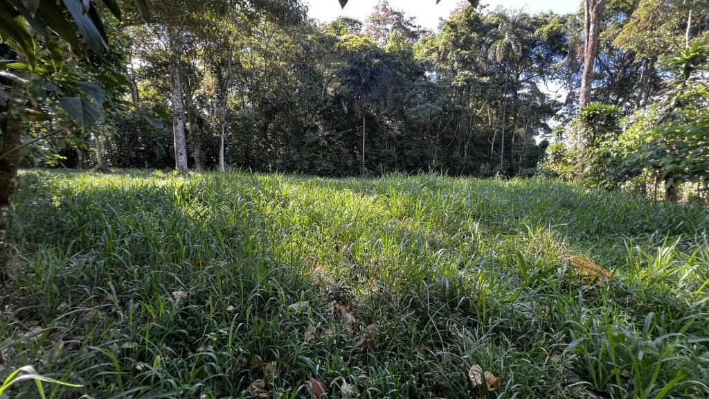 Mountain Home Construction Site For Sale in Guadalupe - photo 7