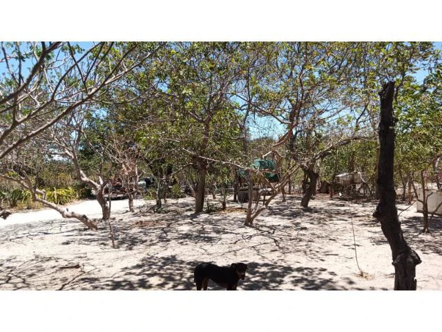 Huge Tico-Farm for sale with a big house in the mountains of Liberia, surrounded by nature and fantastic valley views - Gallery image 18