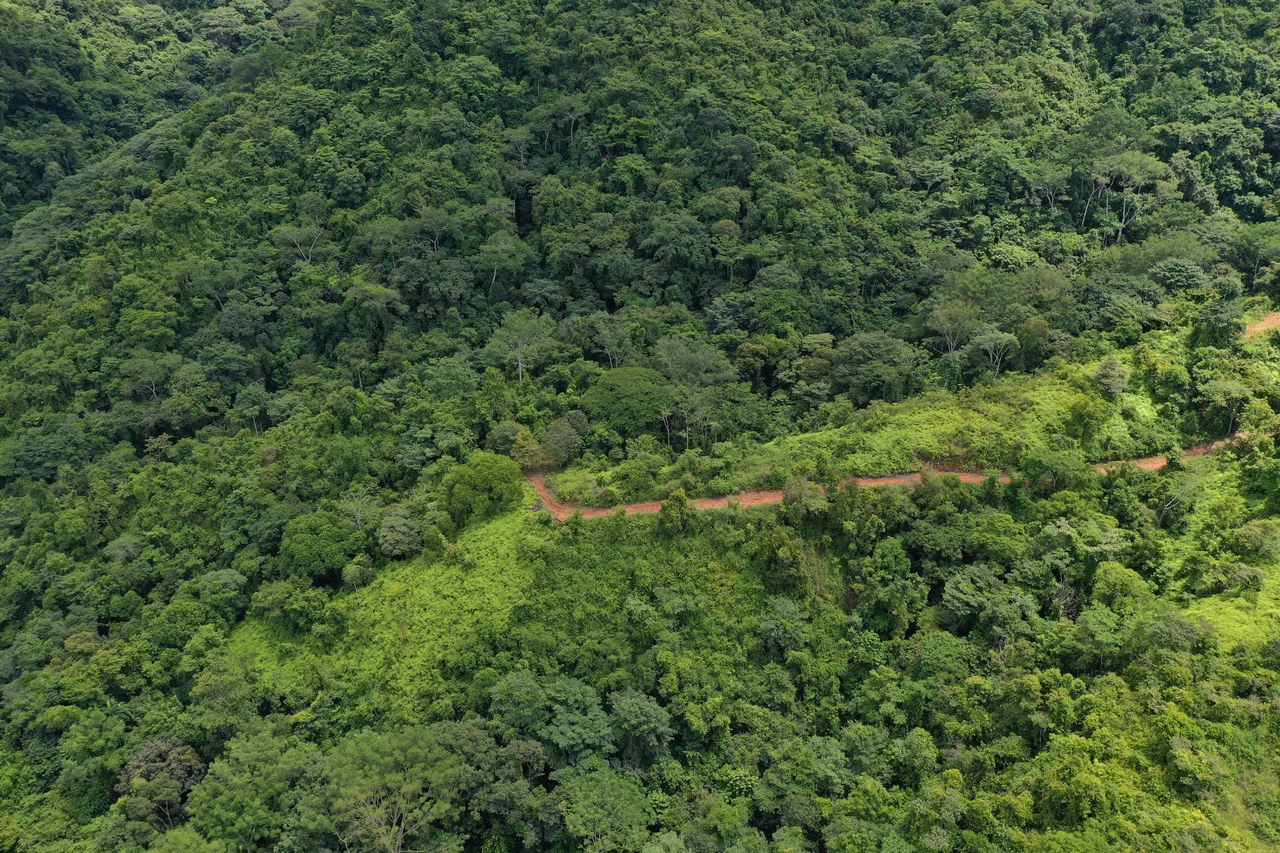 137 Acre Ocean View Farm with Riverfront in Southern Costa Rica - Gallery image 19