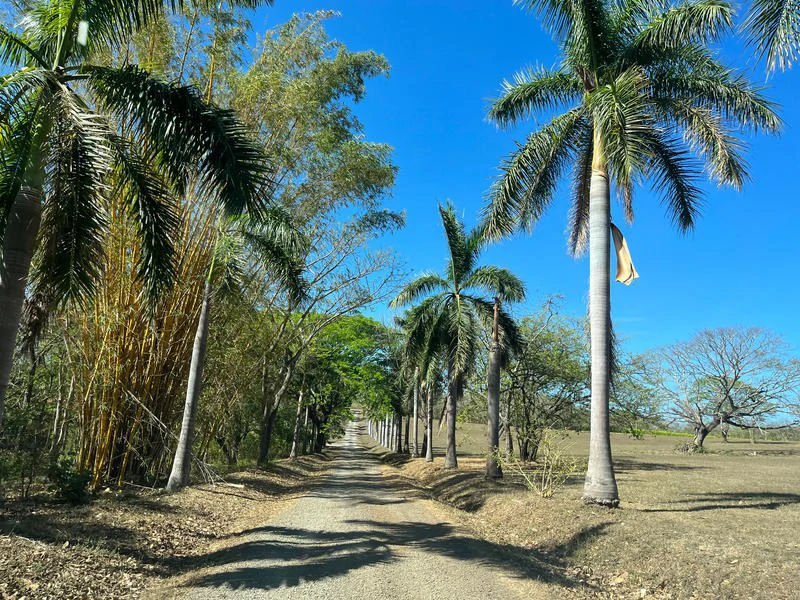 Near the Coast, Oceanfront and Riverfront Agricultural Land For Sale in Papagayo Gulf - Gallery image 5