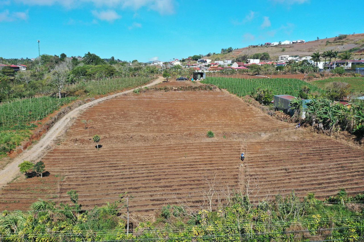 San Ramón Alajuela, Occidente del GAM, Propiedad para desarrollo en venta.: Development Parcel For Sale in San Ramón - Gallery image 3