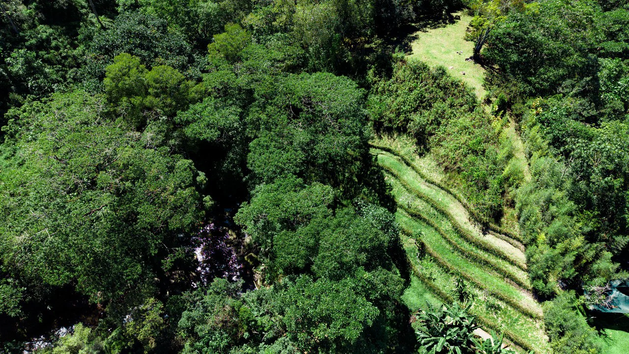 Riverfront Mushroom Farm & Private Waterfall Residence in Orosi - Gallery image 60