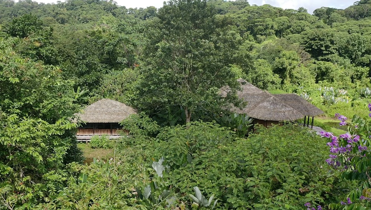60 Acre Fully Sustainable and Impactful Conservation Initiative Near Golfito: Mountain Multi Unit Building For Sale in Golfito - Gallery image 3