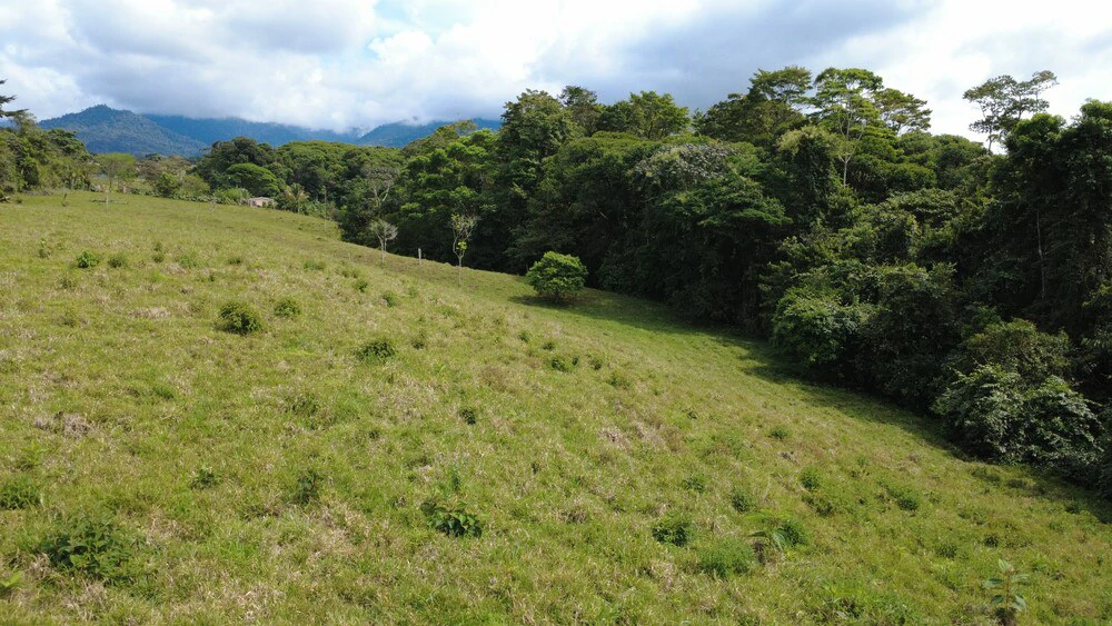 Countryside Home Construction Site For Sale in Centro de Pérez Zeledón - Gallery image 5