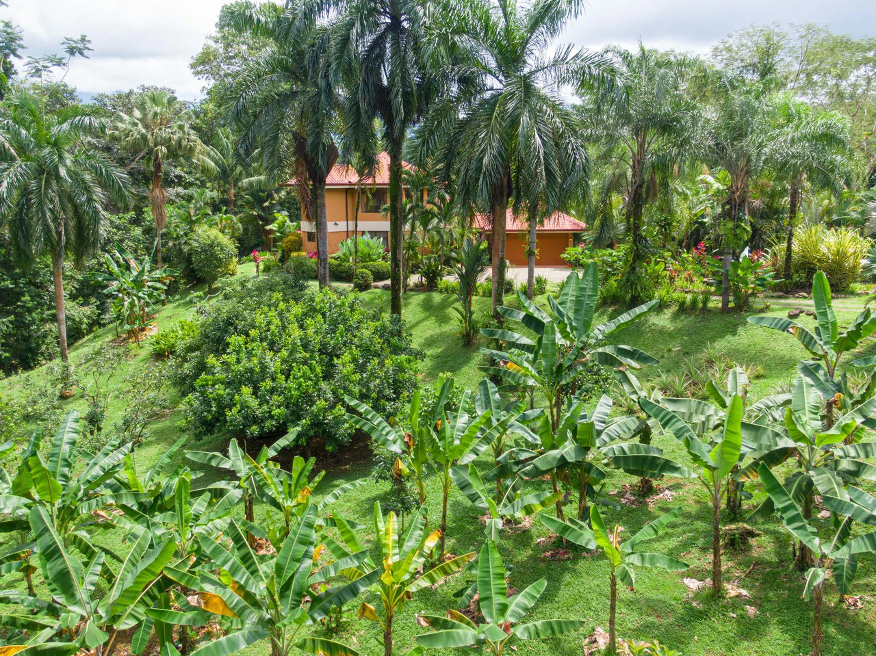 Stunning Tropical Home in Gated community with Hundreds of fruit trees: Mountain House For Sale in Naranjito - Gallery image 3