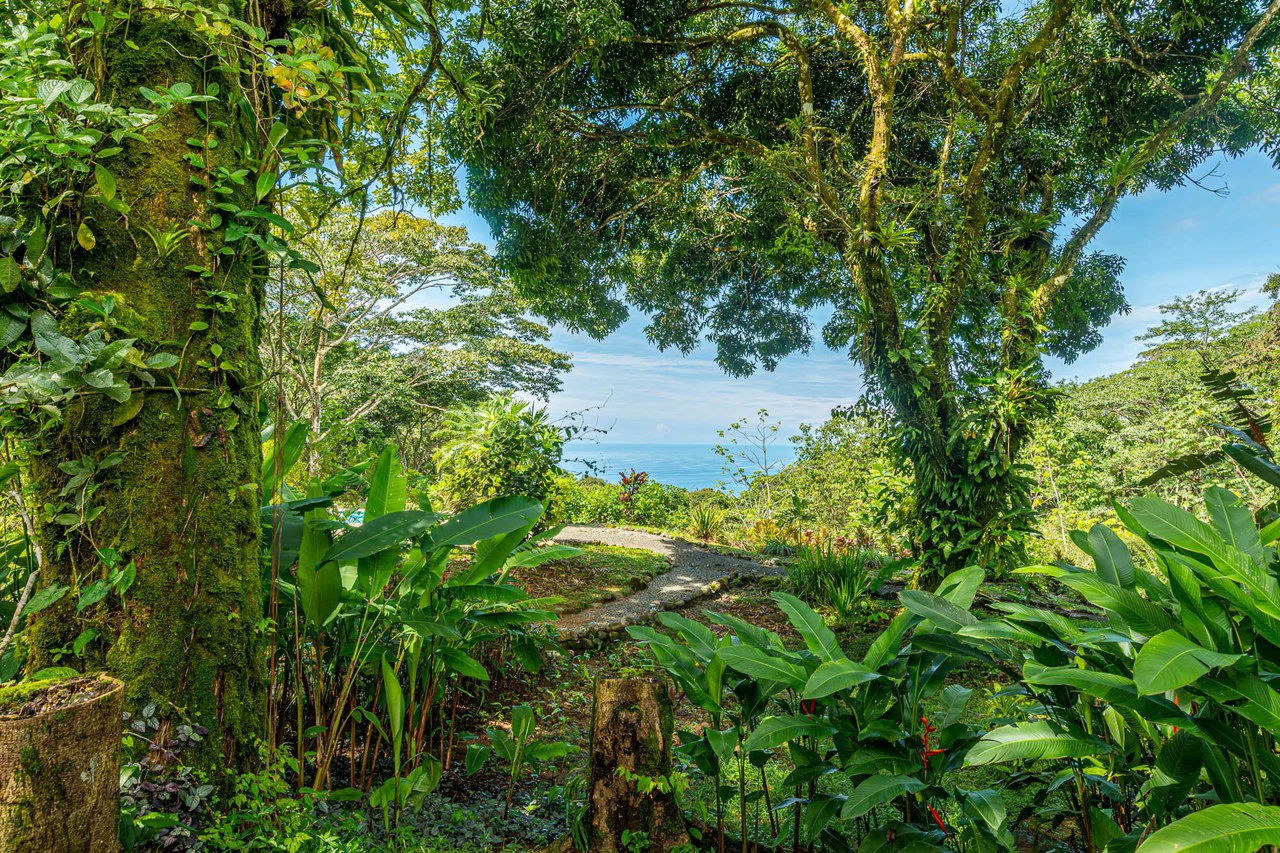 Estate Property in Escaleras, Multi-Use, Residential/HOTEL/Commercial - Gallery image 31