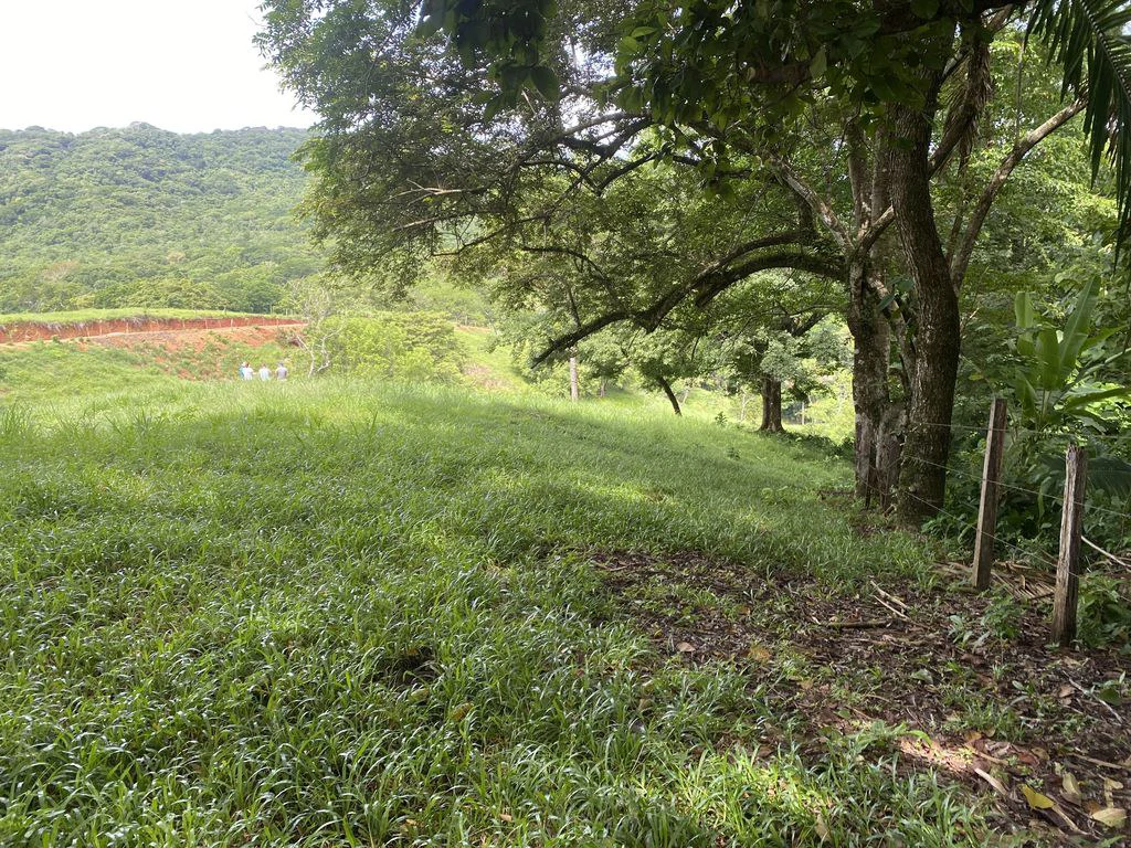Finca Rio El Carmen: 3 HA Finca with Elevation Across from Renowned Rio Ora, 1 HA parcels available, Three 1700 m2 lots - All available in Rustic El Carmen - Gallery image 3
