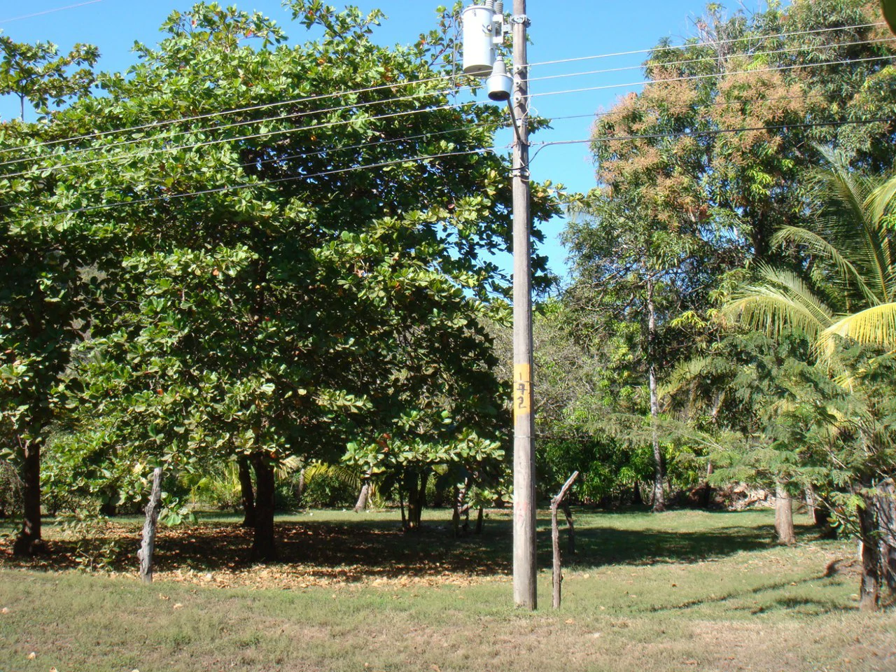 Second-Row Lot for Sale Playa San Miguel, Nandayure, Guanacaste - Gallery image 11