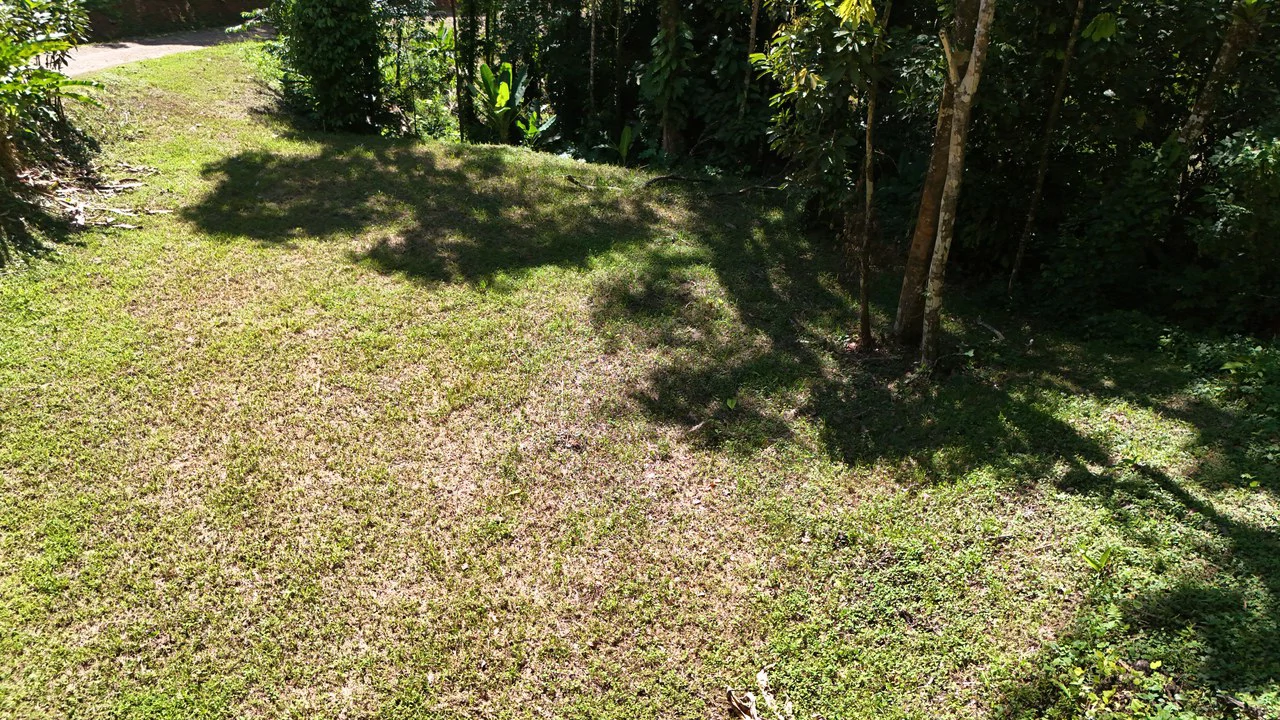 Private Beach Community | 1,708 m² Build-Ready Lot in Ballena - Gallery image 10
