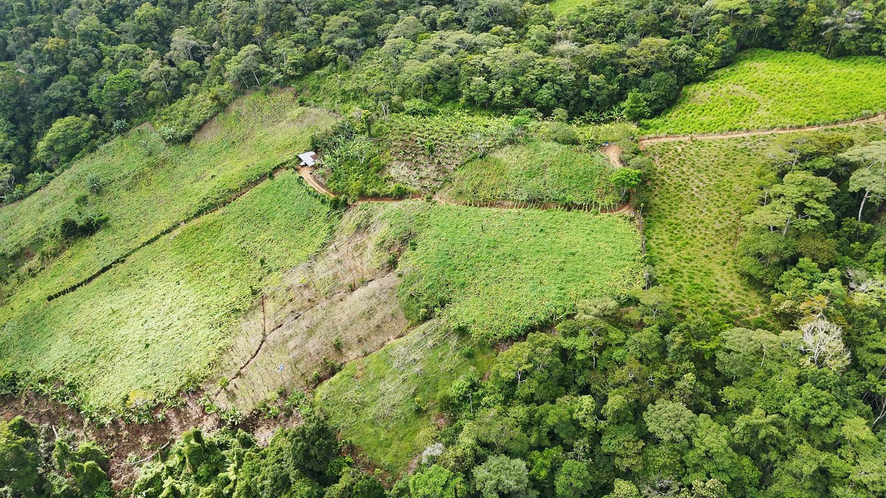 Mountain Agricultural Land For Sale in San Isidro del General - Gallery image 16