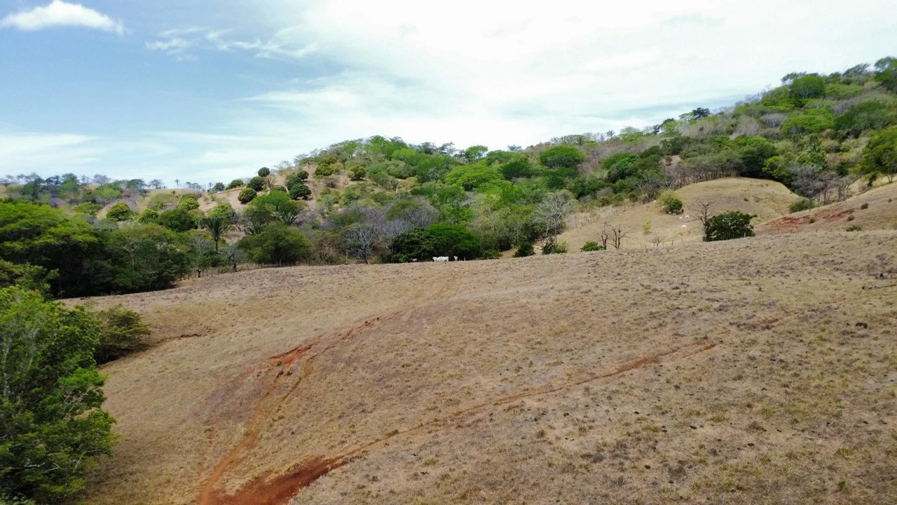 37-Hectare Ocean View Development Property Near Sámara, Buena Vista & Barrigona - photo 3