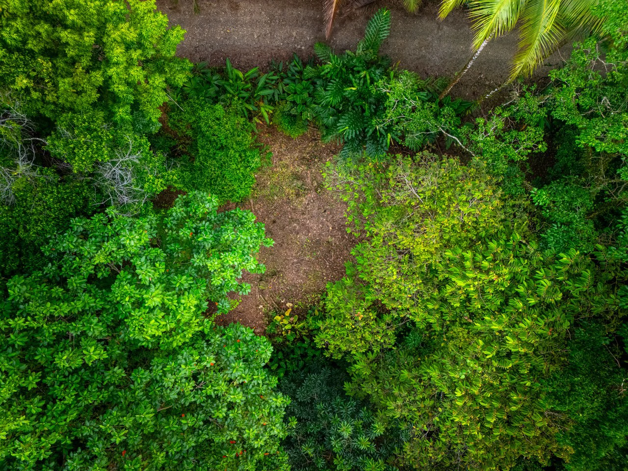 Mountain House For Sale in Escaleras - Gallery image 18