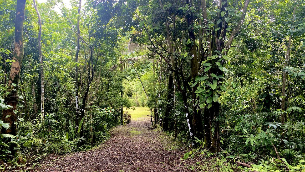 Mountain Home Construction Site For Sale in Tres Rios - Gallery image 11