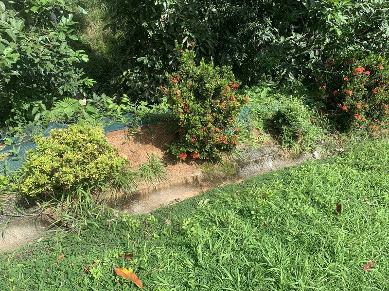Playa Hermosa: Two Locations to Build, Permits Ready - Gallery image 10