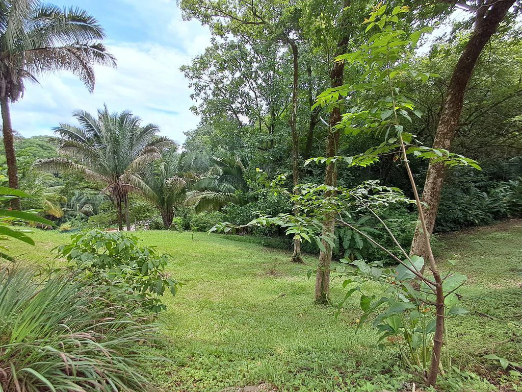 Casa Mariola: PRICE REDUCTION | Colonial Charm Meets Tropical Living in Samara Woods - Gallery image 24