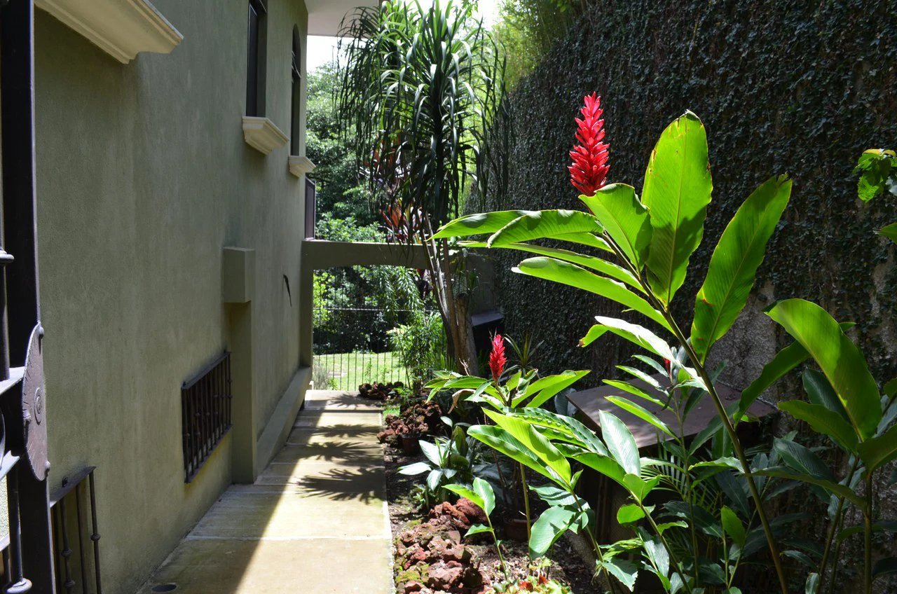 Mountain Condominium For Sale in Ciudad Colón - Gallery image 10