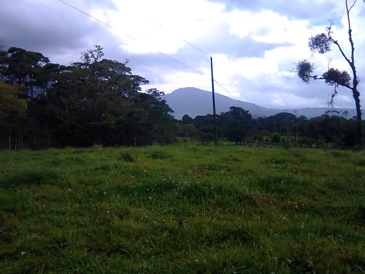 Cattle farm for sale in Aguas Claras with 1 corral and enchanting views - Gallery image 7