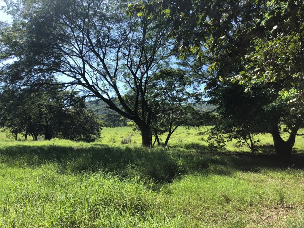 Huge dream Cattle farm for sale with 2 houses close to the Gulf of Nicoya, Guanacaste, Costa Rica - Gallery image 31