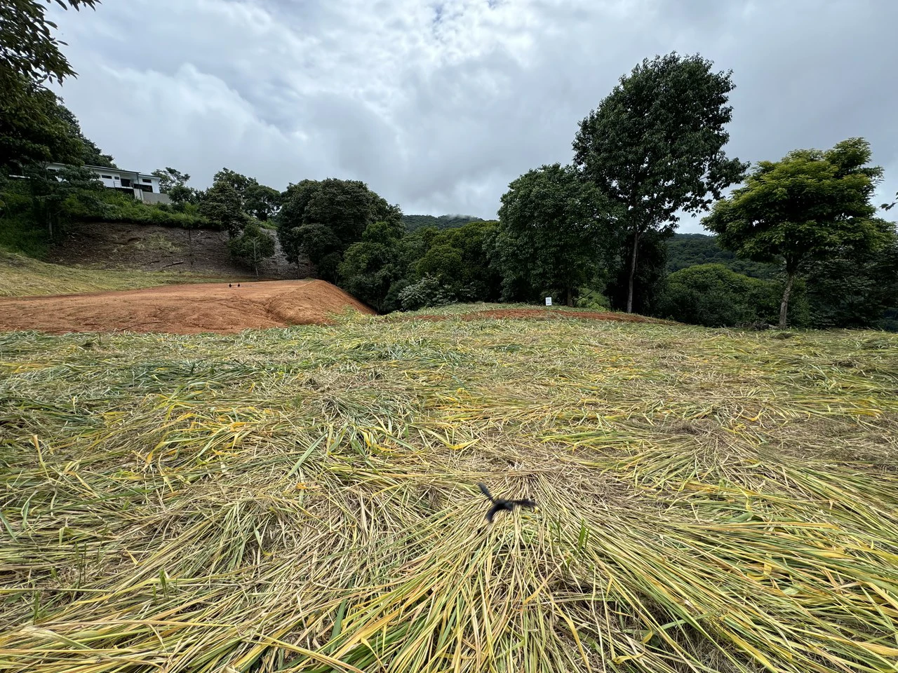 Playa Dominical Mountain Farming Property - Gallery image 15