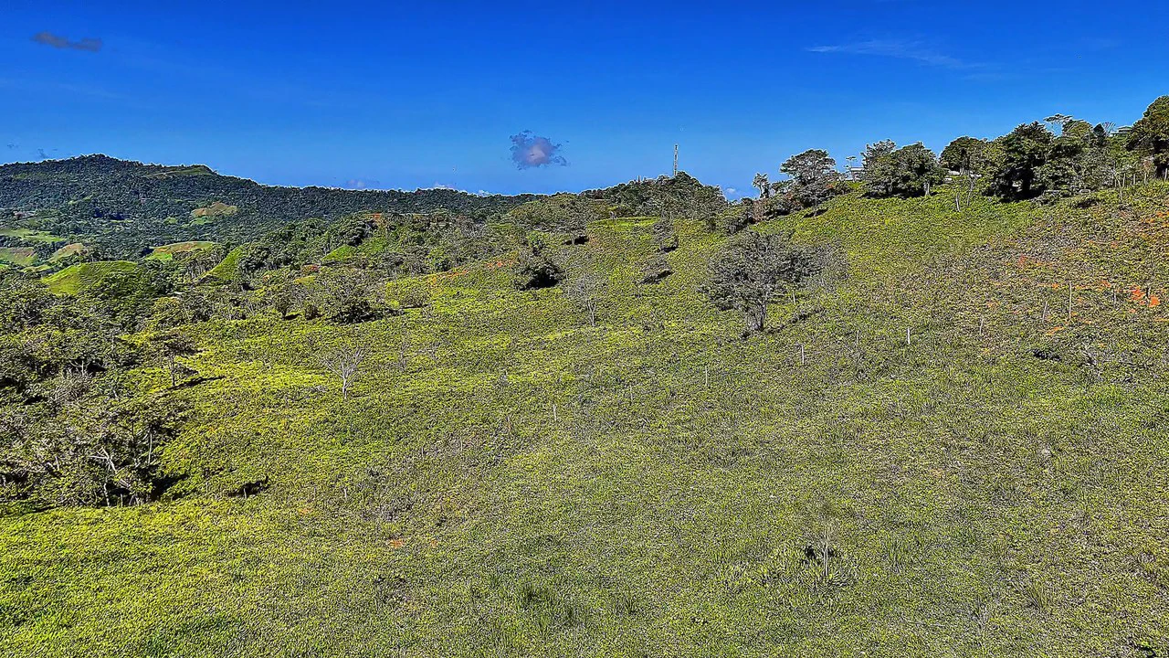Mountain Agricultural Land For Sale in Alto San Juan - Gallery image 5