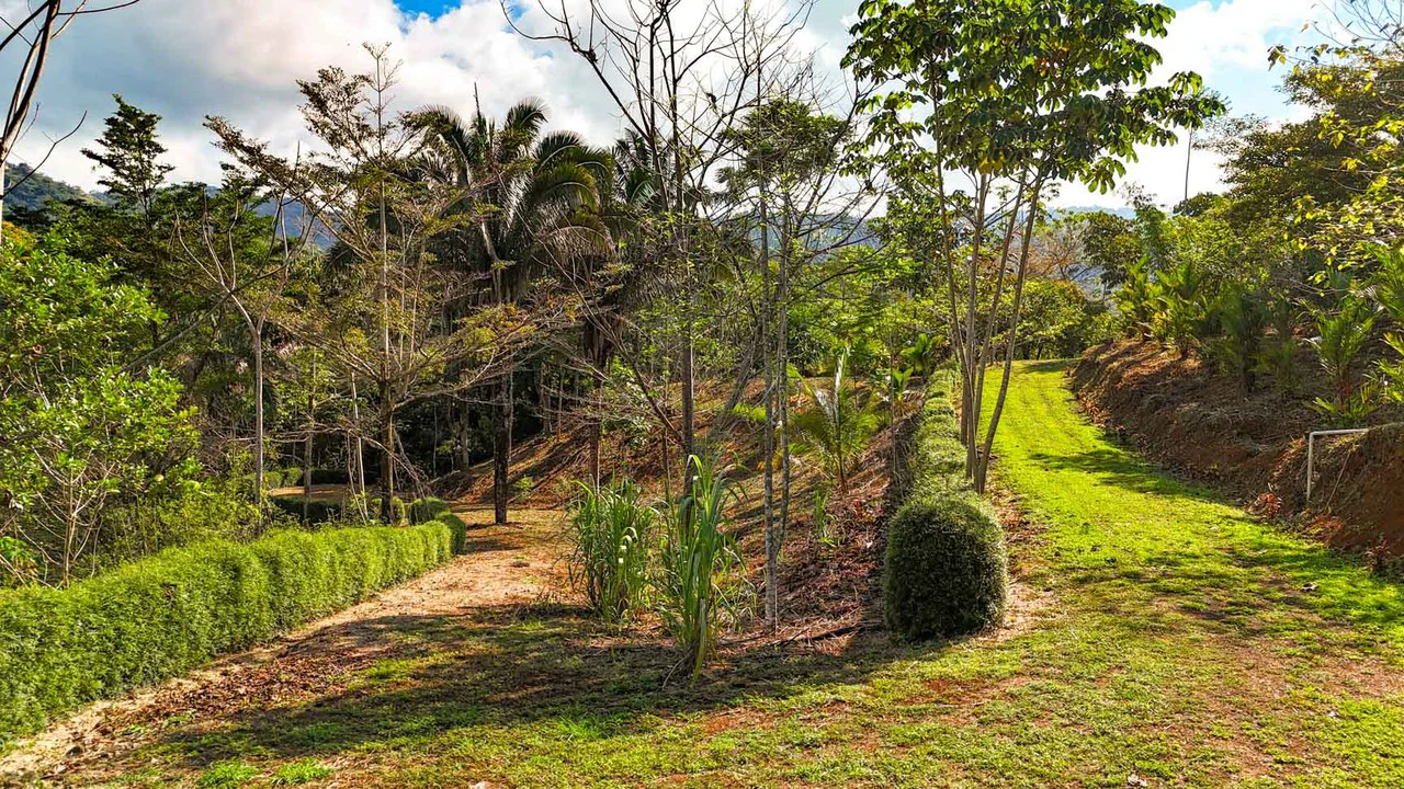 32 Acre Self Sustainable Farm with House Close Ojochal - Gallery image 59