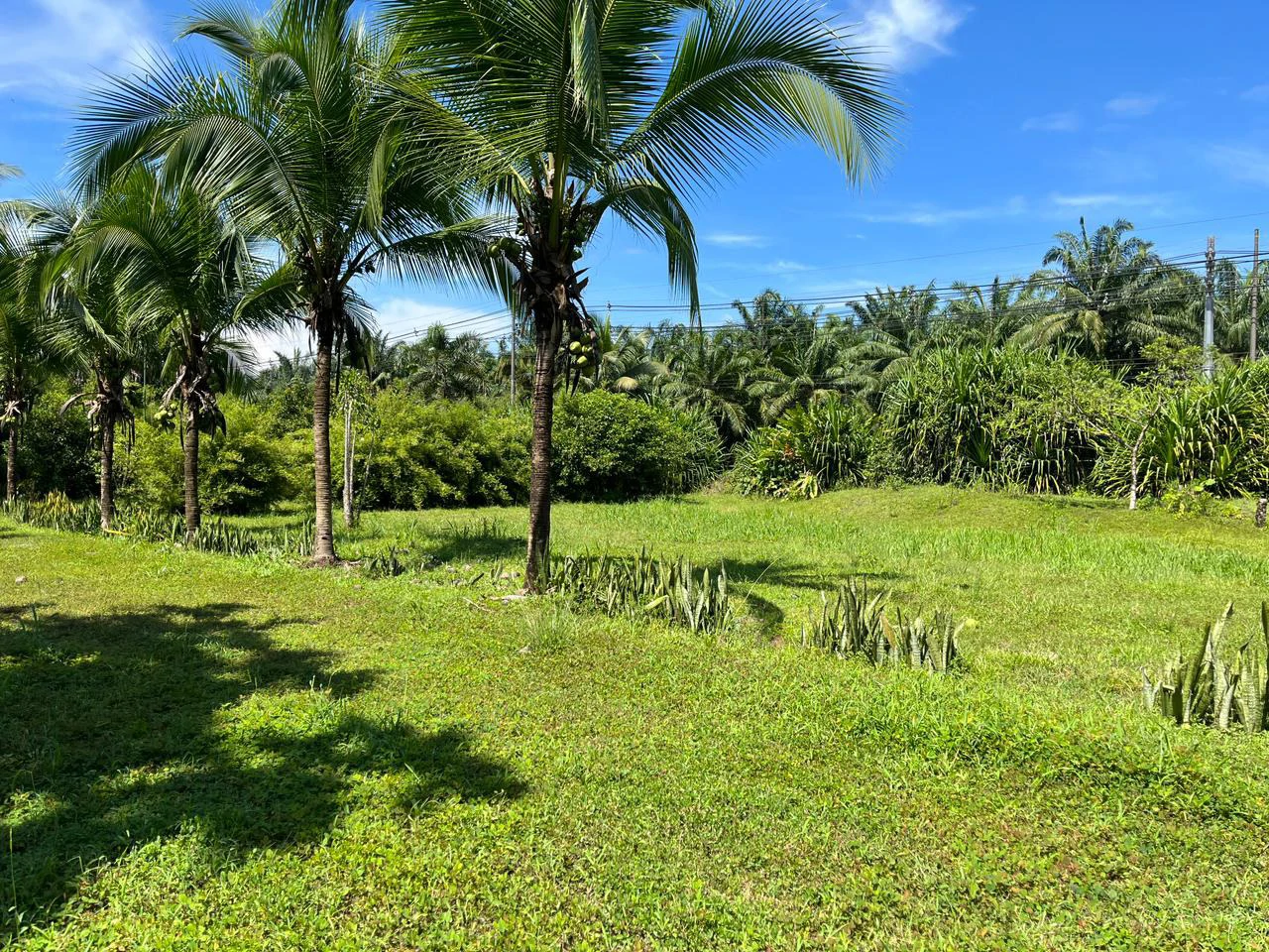 Perla Tropical Rio Seco: Great Opportunity for Sale with reduced price - Gallery image 21