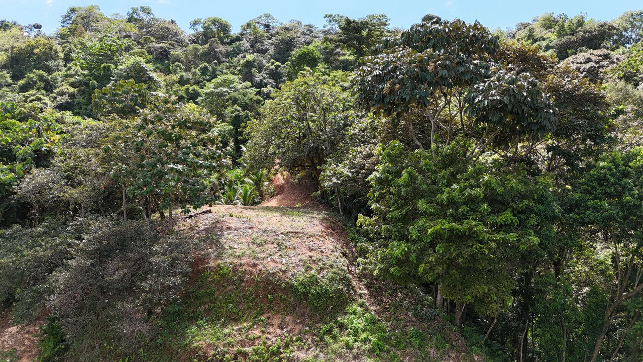 Stunning Ocean, Mountain, and Valley View Property in Tres Rios - Gallery image 16