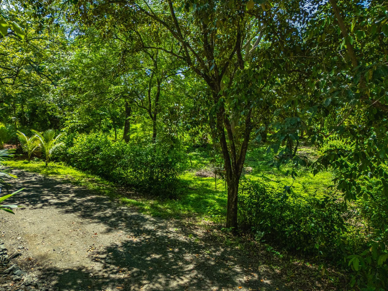 Tierra Pacifica #22: 1.5 Acre Homesite with Water Meter - Gallery image 22