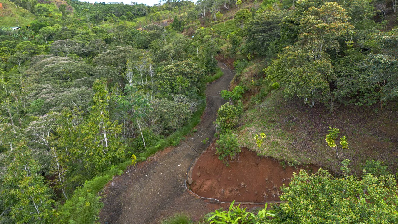10.21 Acres with Views & Plantels – Pérez Zeledón - Gallery image 20