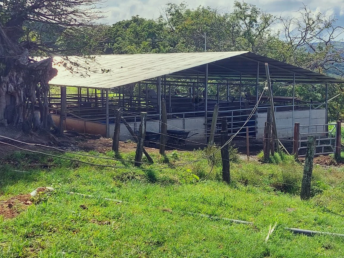 HACIENDA LOMBARDIA : Fully Operating Livestock Business - Gallery image 14