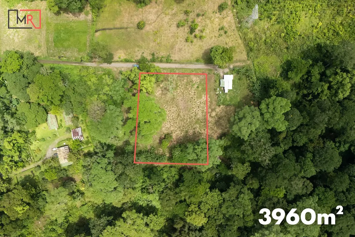 ID 1134: 3960m² Flat Development Lot Near Cahuita, Costa Rica - photo 2