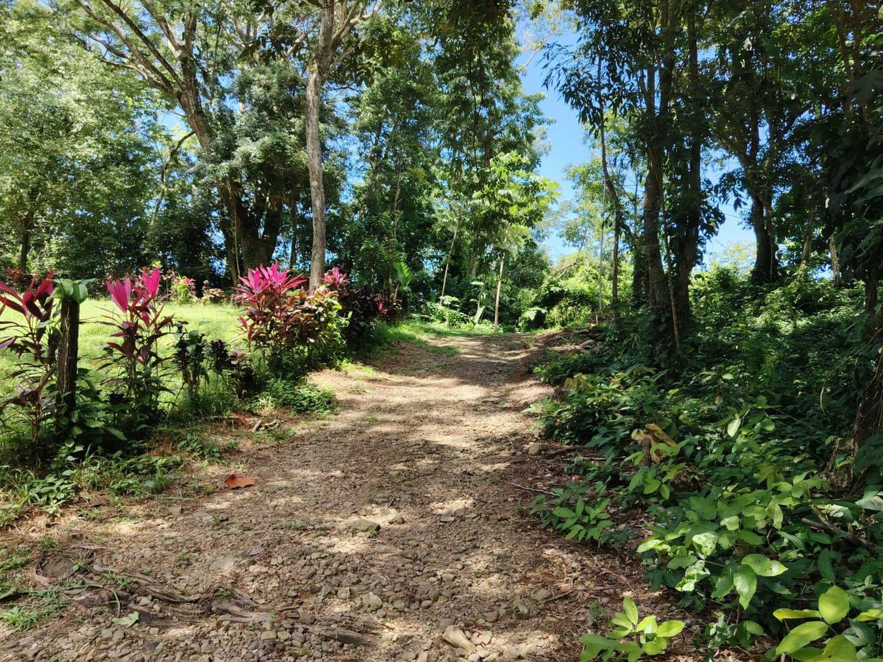 TERRENO EN VENTA, PUNTARENAS.: Mountain Home Construction Site For Sale in Hatillo