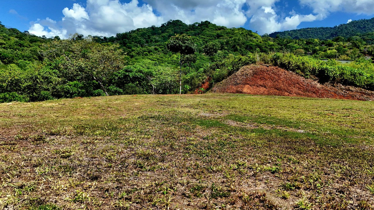 Ocean View Property with River & Waterfall Access – Tres Ríos de Osa - Gallery image 6