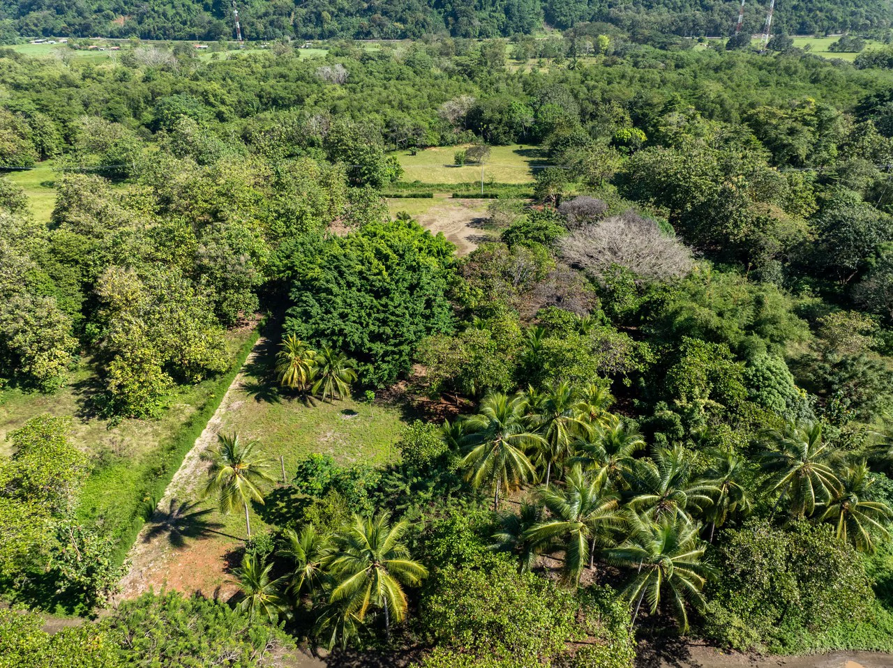 Exclusive Beachfront Opportunity south of Manuel Antonio Costa Rica - Gallery image 7
