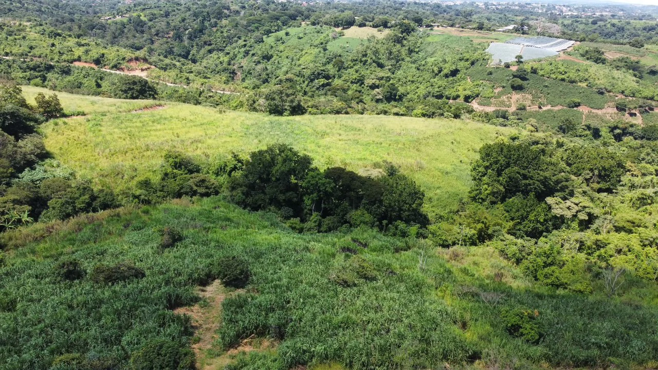 Multinational Investment: Large-Scale Commercial Development Opportunity - Gallery image 4