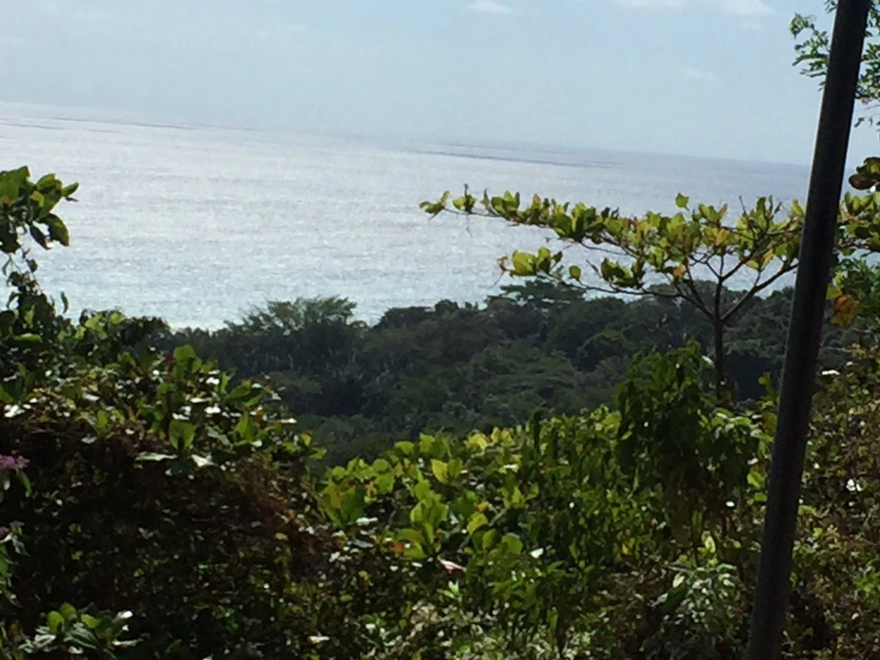 Osa Peninsula, Carate Beach: Incredible Ocean View above the Pacific - Gallery image 16