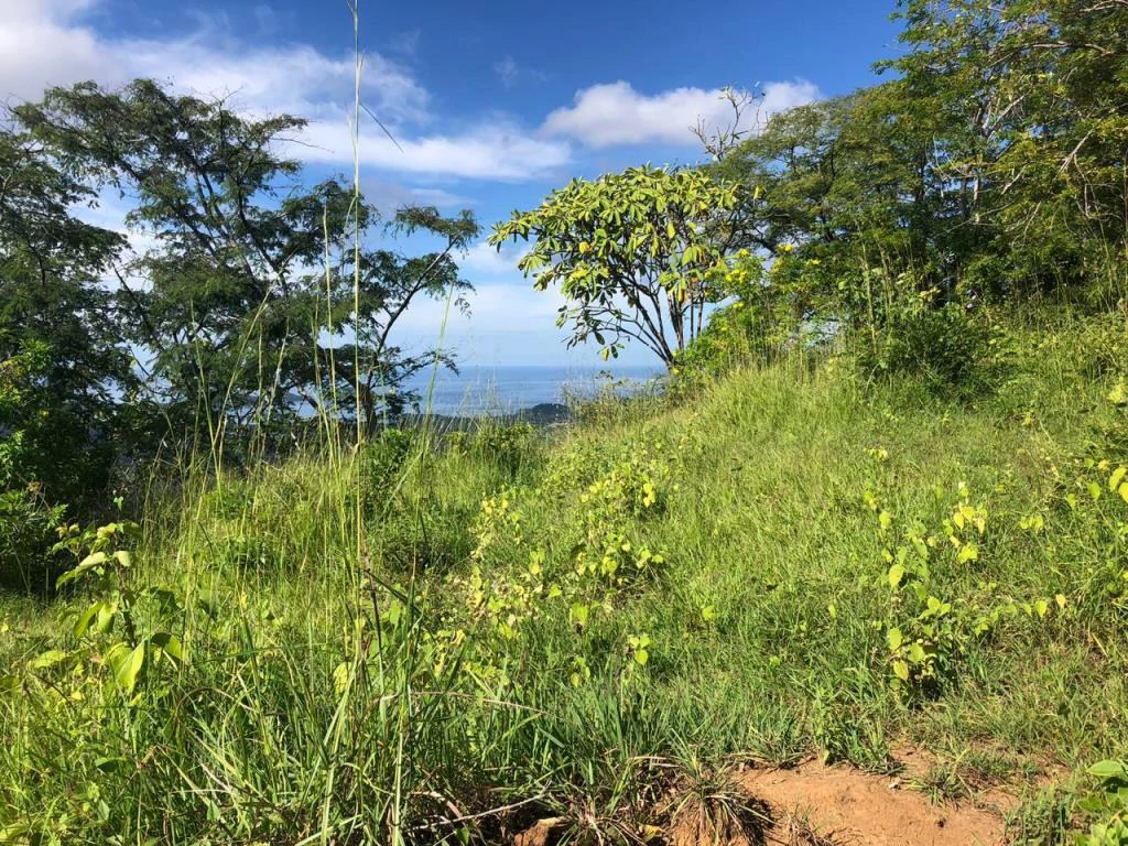 Ocean View Property with Panoramic Views on the Pacific Gold Coast – Guanacaste - Gallery image 16