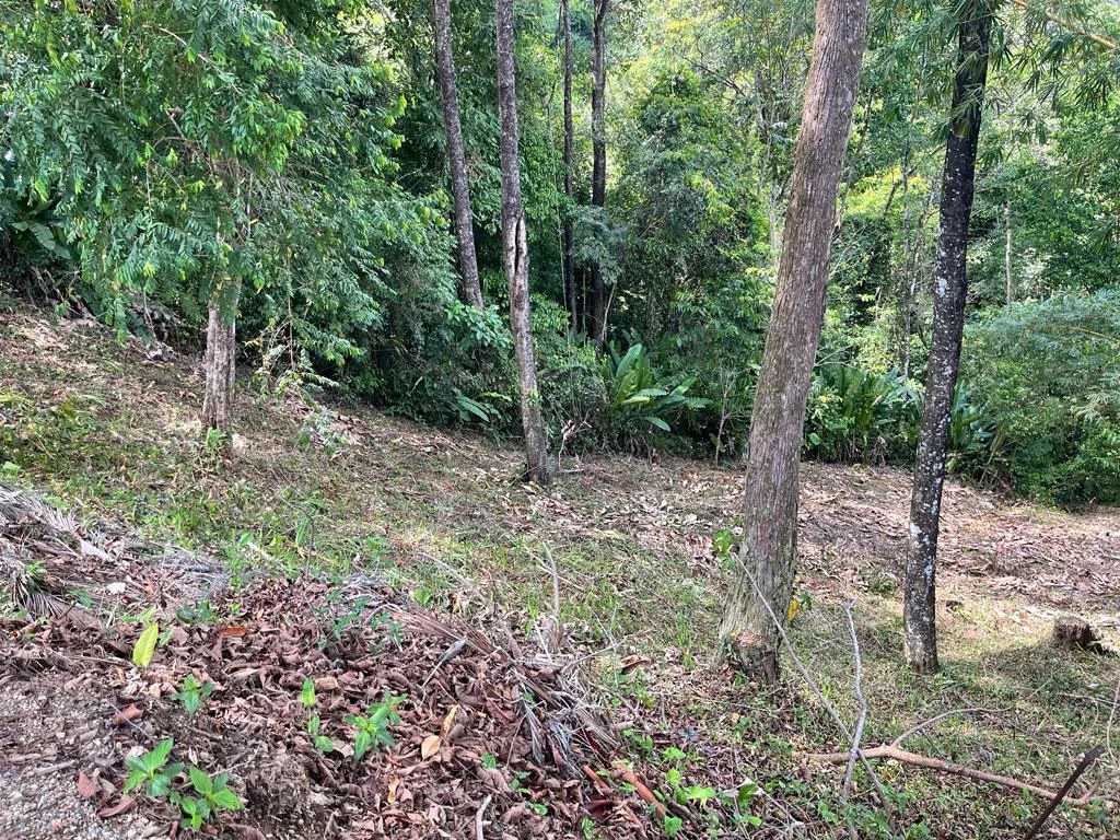 The Last Building Site Available In the Gated Canto Del Mar Community Close To The Beach - Gallery image 5