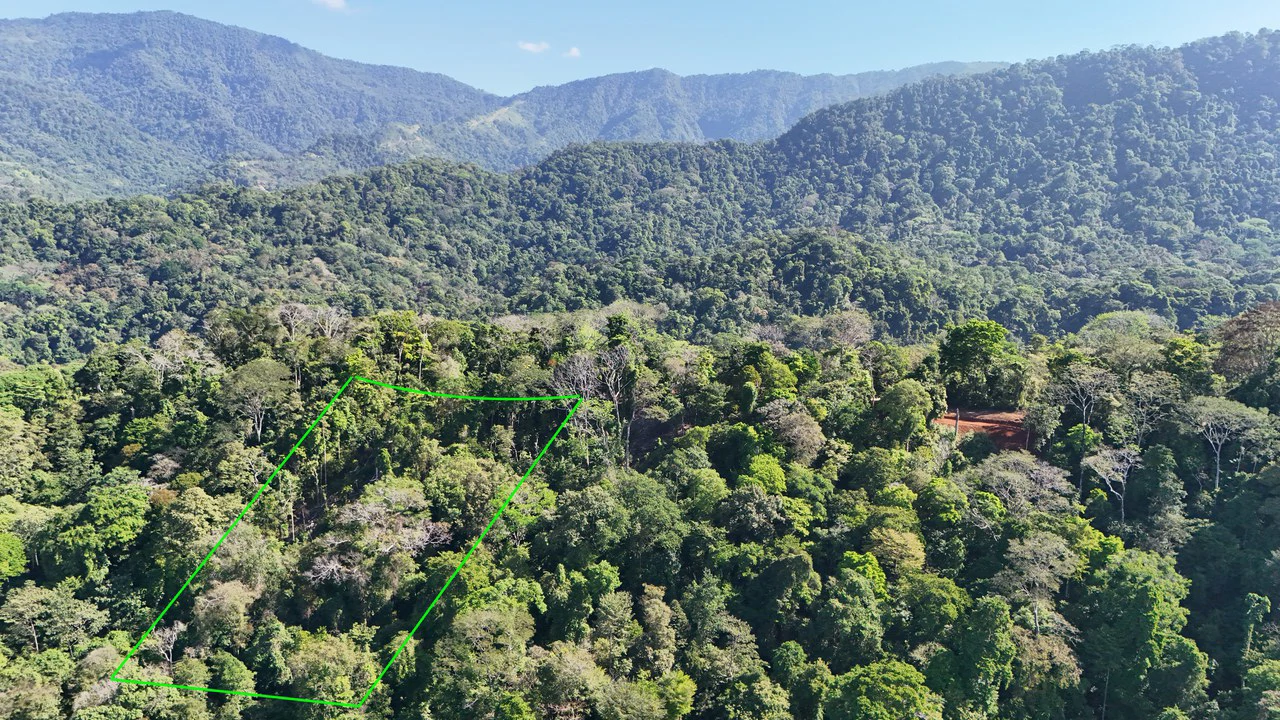 Front-Row Ocean View Lot in the Exclusive Mountains of La Unión - Gallery image 3