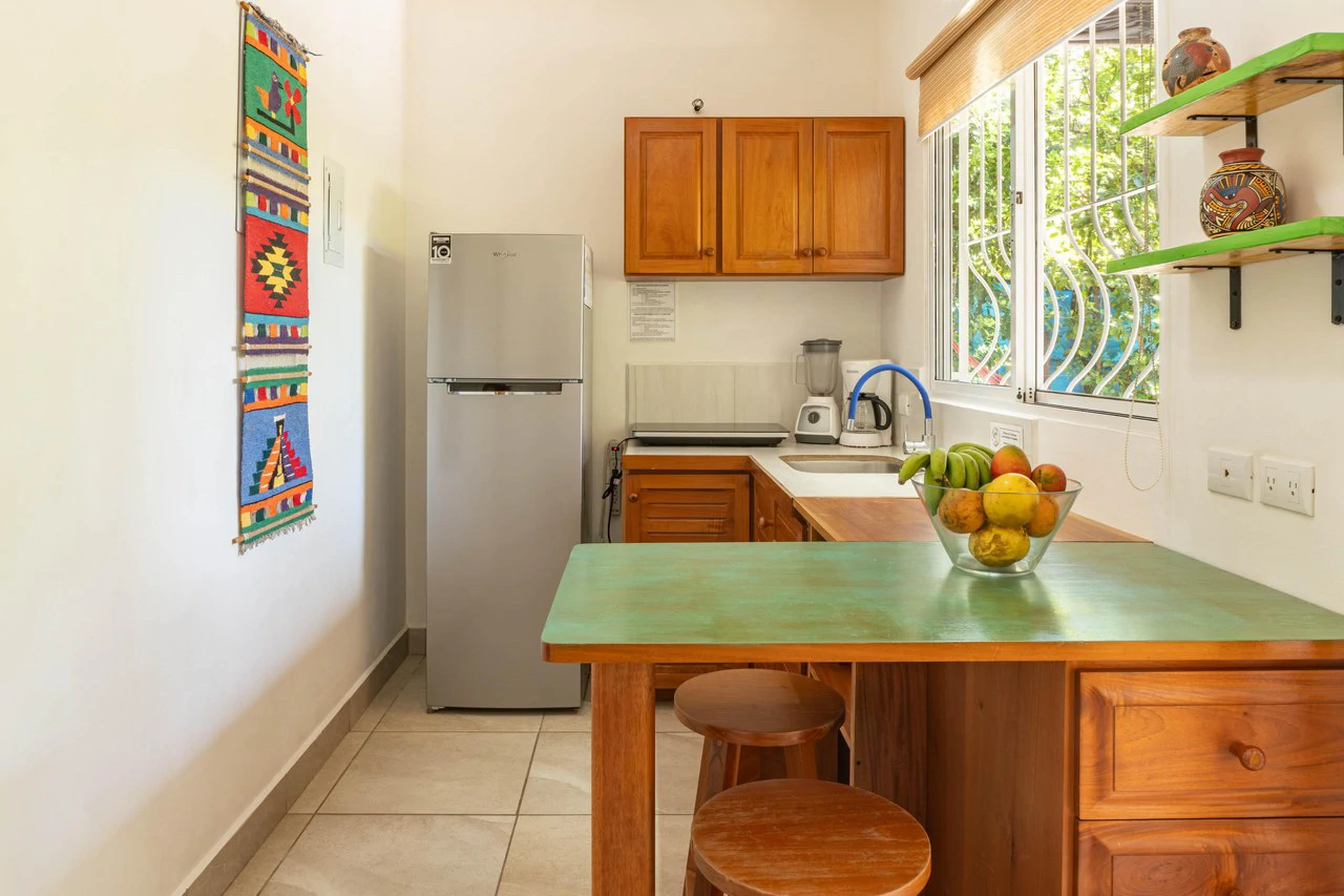 Casa Ceiba: Turnkey Investment Walking Distance to Beach - Gallery image 3