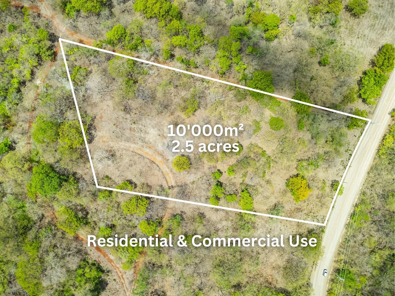 Pura Jungla Lots: Expansive Lots with Water Availability in Los Pargos - Gallery image 9