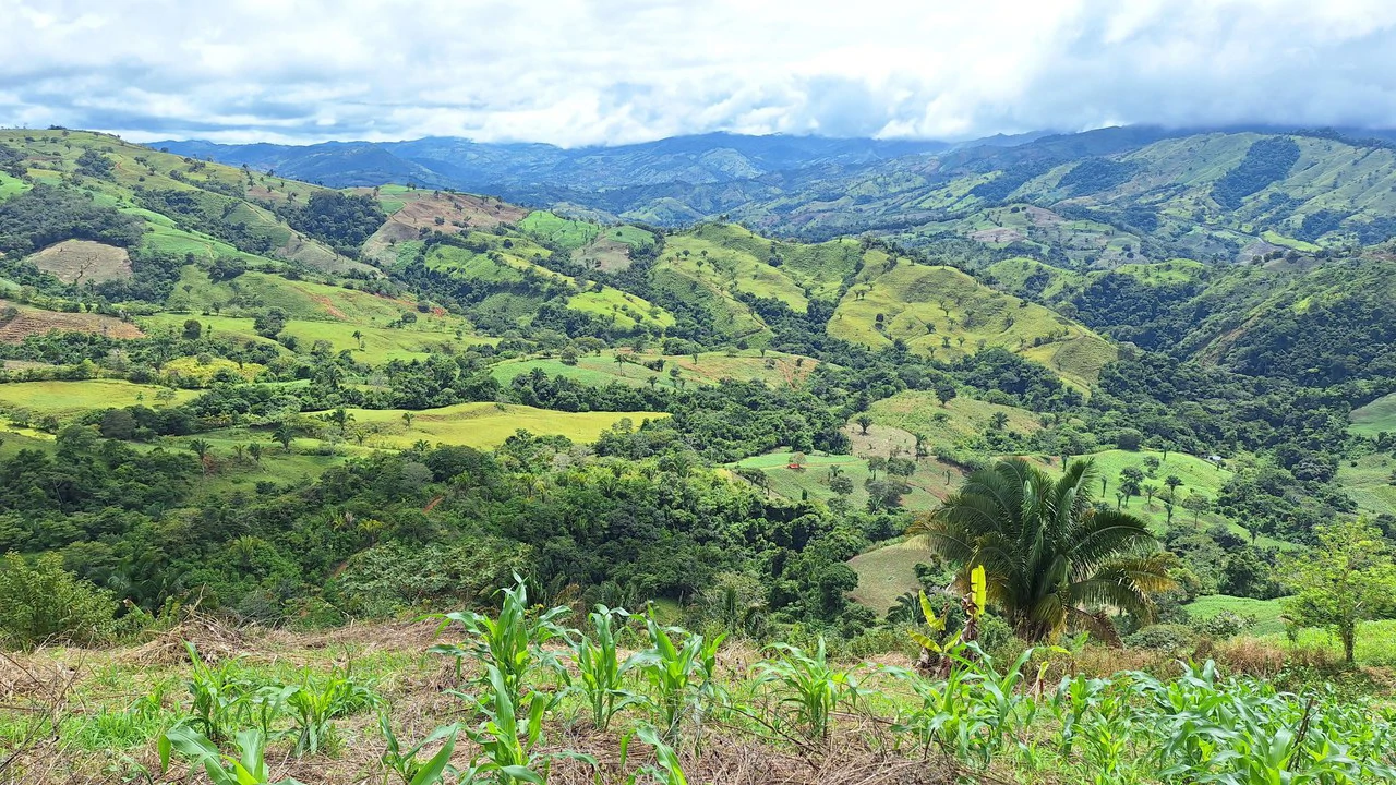 Spacious Lot For Sale In The Heart Of Pejibaye — Private Spring & Mountain Views