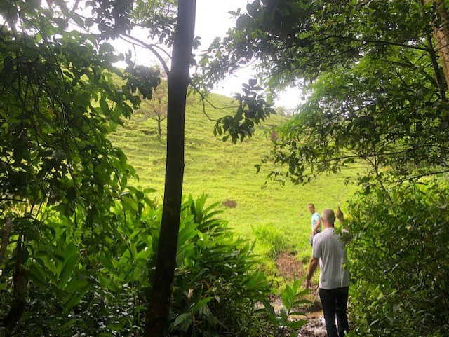 Warm Spring Mountain Property in a tropical landscape and antique wooden house,  50 minutes from Liberia city - Gallery image 24