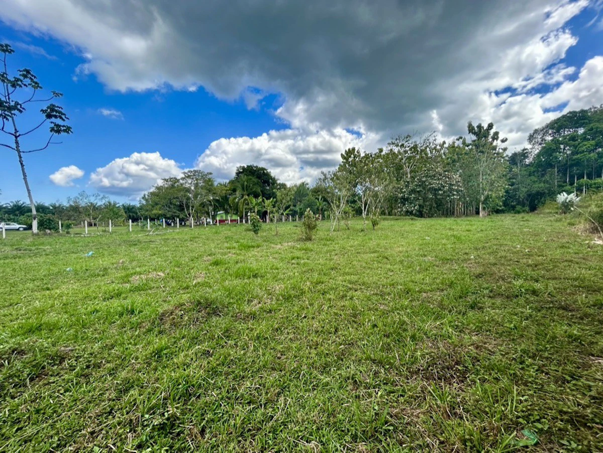 2.4 Acres Building Lot in Osa Peninsula - Gallery image 5