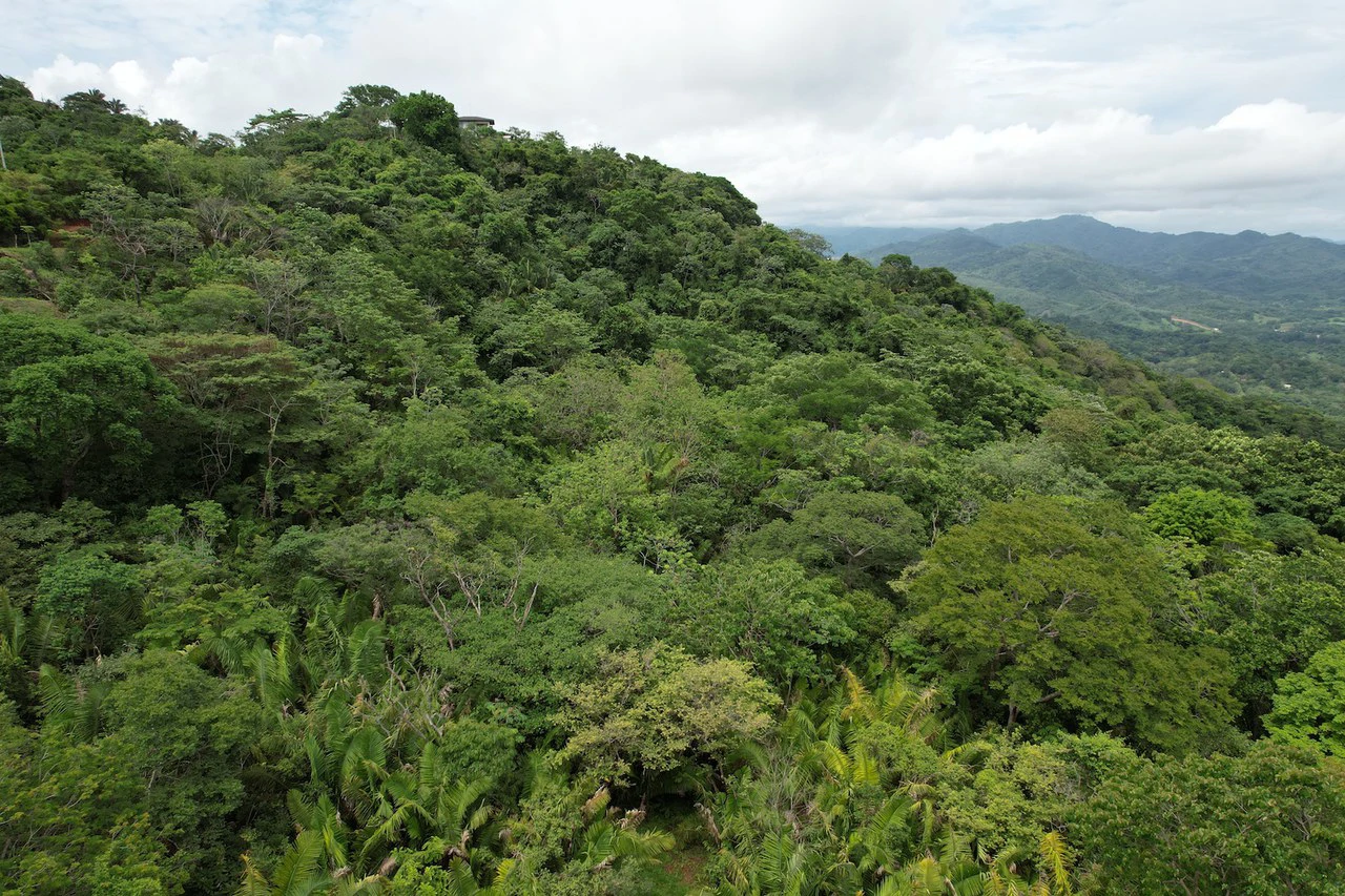 Lotes Paraíso: Spectacular Ocean and Mountain View 5.77 acres Development Land - Gallery image 16