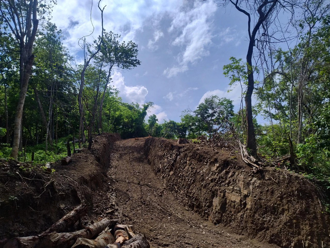 Hilltop Lot Surrounded by Nature - photo 5