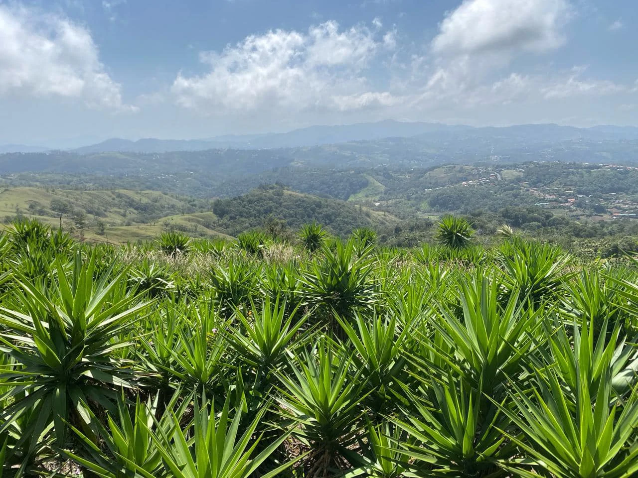 Farm with Exceptional Potential for Sale in San Ramón, Alajuela - Gallery image 5