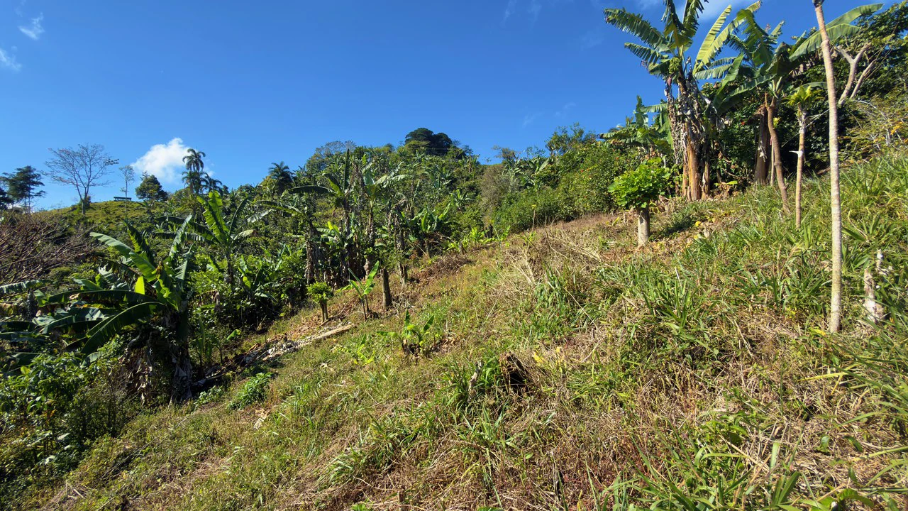 Countryside Home Construction Site For Sale in San Rafael - Gallery image 10