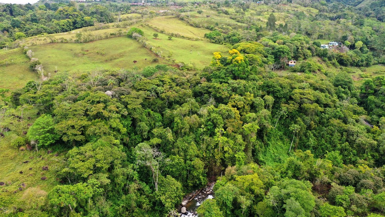 45 Acre Premier Riverfront Ranch in Santa Teresa Pérez Zeledón - Gallery image 7