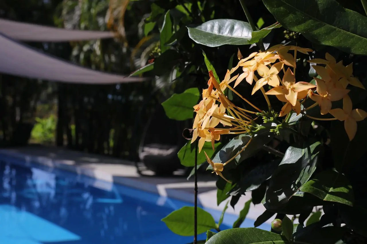 Tropical Luxury Estate with Private Lake, Pool & Prime Location Near Costa Rica’s Best Beaches: Near the Coast House For Sale in Parrita - Gallery image 46